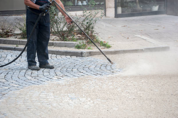 Best Animal Enclosure Cleaning  in Spring Mount, PA